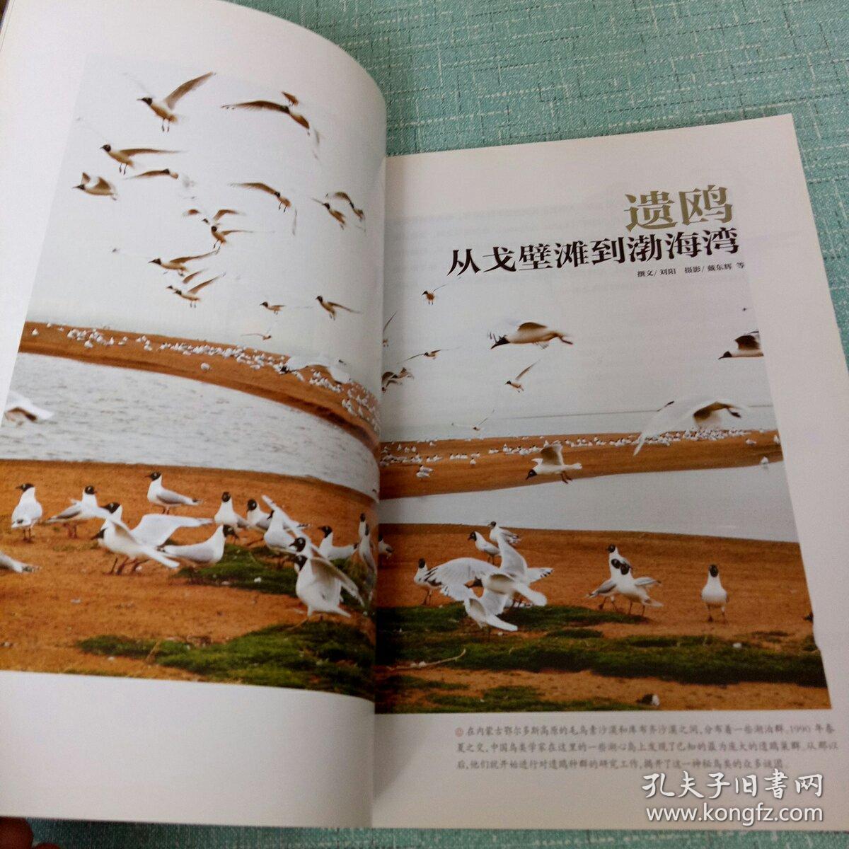 中国国家地理2008.11/总第577