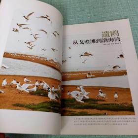 中国国家地理2008.11/总第577