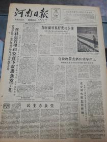 【报纸】河南日报 1961年1月19日【兰考县张集大队第一生产队坚持实行民主办食堂方针，在社员管理和监督下改进食堂工作】【沁阳县杜庄大队加强管理保护红薯安度寒冬】【南阳市赵庄大队举办农业技术学习班】