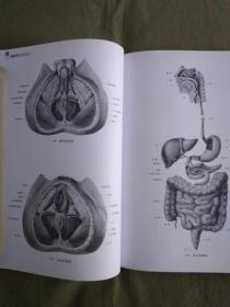 解刨学与组织胚胎学图谱：2013精装、16开