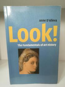 艺术史基础 Look! The Fundamentals of Art History  by Anne D'Alleva （艺术史）英文原版 图文版