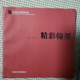 精彩翰墨:中国实力派画家精品集