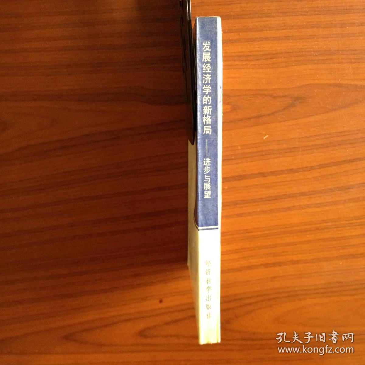 发展经济学的新格局：进步与展望