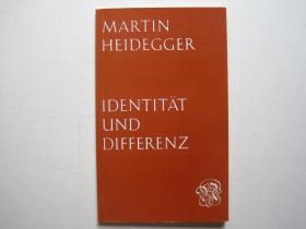 Identität und Differenz  同一与差异