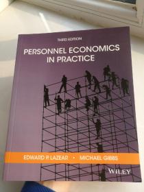 现货  Personnel Economics in Practice 英文版 人事经济学实务 实践 人事管理经济学