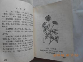 33325《 广东中草药 》