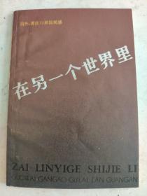 在另一个世界里