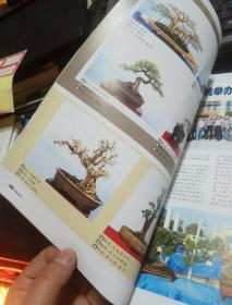 花木盆景  盆景赏石  2015年  11月号