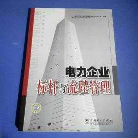 电力企业标杆与流程管理