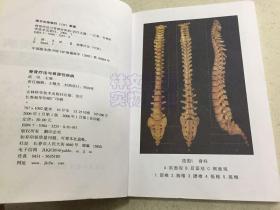 脊背疗法与脊源性疾病.