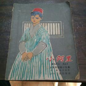 土耳其短篇小说集《小阿里》