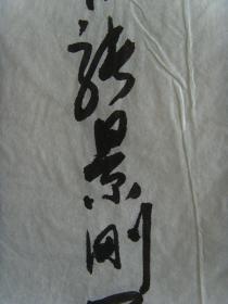 张景刚：画：鱼（岂畏风浪劲 能游万里江）（原惠民地区水利局副局长，滨州市老年书画研究会副会长，中国国画家协会会员，中国书画社山东分社社员，山东省美术家协会会员，山东省美术家协会会员，滨州画院画师。作品花鸟画曾参加省、地级及国家水利系统展览20余次，获奖12次，并多次在《中国书画函授报》、《滨州日报》、《滨州电视报》等报刊发表。）（带简介）