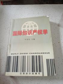 国际知识产权学