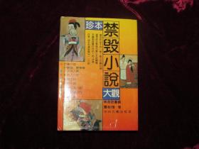 珍本禁毁小说大观——稗海访书录（精装初版二印）