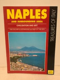 那不勒斯及周边地区：建筑、艺术与文明 （258幅彩图）Naples and Surrounding Area：Civilisation and Art 258 Colour Illustration and Map of the City （国家与城市）英文原版书