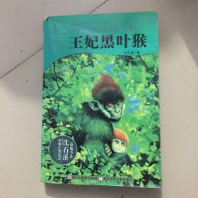 动物小说大王沈石溪：王妃黑叶猴