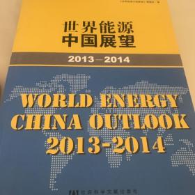 世界能源中国展望（2013~2014）