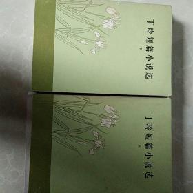 丁玲短篇小说选（上下全两册）