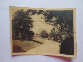 浙江西山公园照片