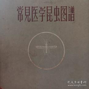 常见医学昆虫图谱