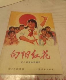 向阳红花