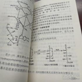 中国宁津蟋蟀志