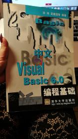 中文Visual Basic 6.0编程基础