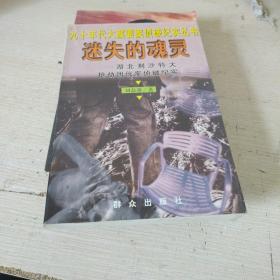 迷失的魂灵--湖北荆沙特大抢劫团伙案侦破纪实