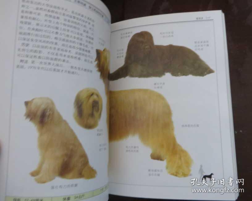 名犬：全世界300多种名犬的彩色图鉴