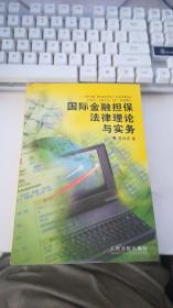 国际金融担保法律理论与实务