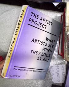 The Artist Project: What Artists See When They Look At Art 艺术家计划：当艺术家看艺术时他们看到了什么 （大16开）