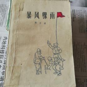 暴风骤雨