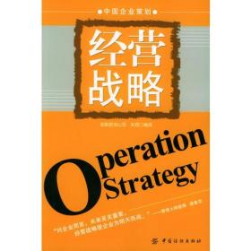 中国企业策划:经营战略