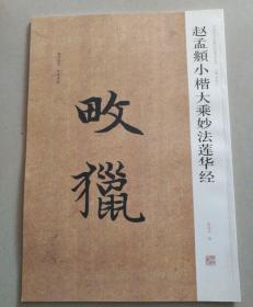 中国历代名碑名帖精选系列：赵孟頫小楷大乘妙法莲华经（1版1印）