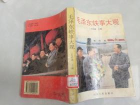 毛泽东秩事大观