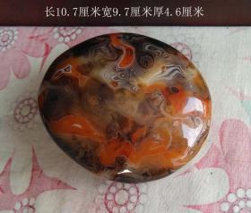 玛瑙原石--凤凰涅槃9353