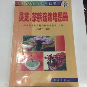 灵芝、茶薪菇栽培图册