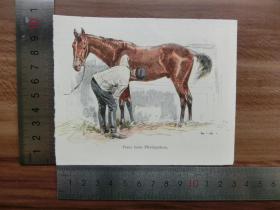 【现货 包邮】1890年小幅套色木刻版画《弗兰兹清理他的马》( franz beim pferdeputzen)尺寸如图所示（货号400252）