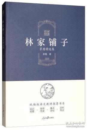 林家铺子：茅盾精选集/核心阅读文学书系