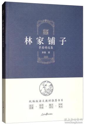 林家铺子：茅盾精选集/核心阅读文学书系