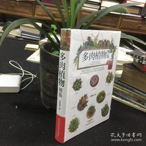 多肉植物图鉴