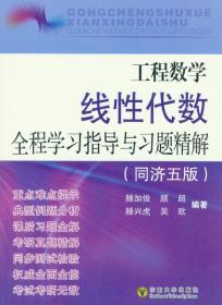 工程数学线性代数全程学习指导与习题精解（同济5版）