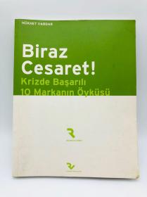 Biraz Cesaret! Krizde Basarili 10 Markanin Öyküsü 土耳其文原版《有点勇气！危机中10个成功品牌的故事》