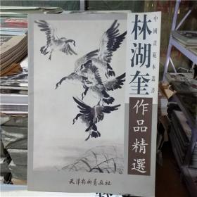 林湖奎作品精選