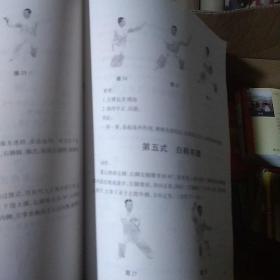 杨式太极拳