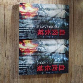 血肉长城:义勇军抗日斗争实录