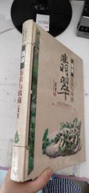 中国艺术品典藏大系（第1辑）：翡翠鉴赏与收藏，