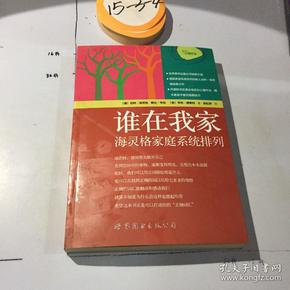 谁在我家：海灵格家庭系统排列