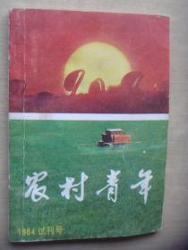 创刊号：农村青年 1984年试刊号