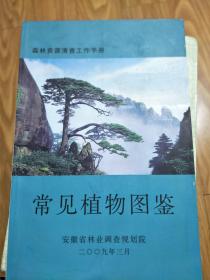 《安徽省常见植物图鉴》 铜版纸彩印，图文并茂！